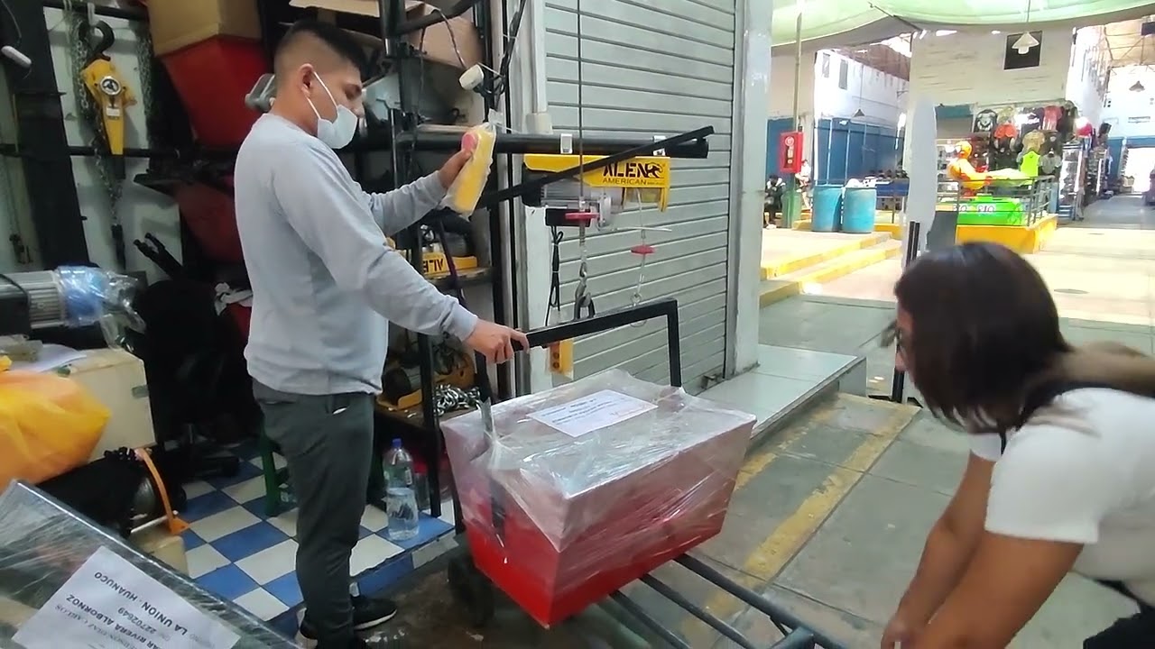 Winche El&eacute;ctrico de un solo brazo  Tecle El&eacute;ctrico monof&aacute;sico de un solo brazo   Winche Monof&aacute;sico 🔴