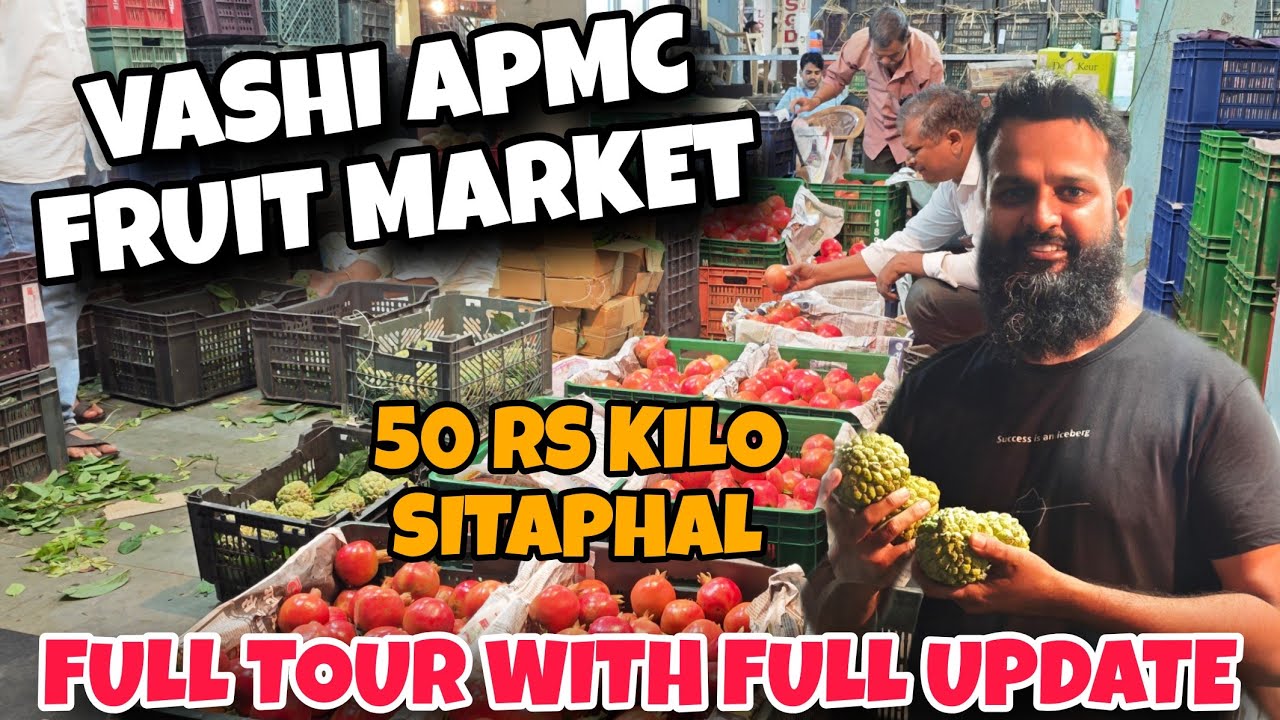 VASHI APMC FRUIT MARKET 🍎🍍🍉🍋 SABSE SASTA WHOLESALE FRUIT MARKET🤩