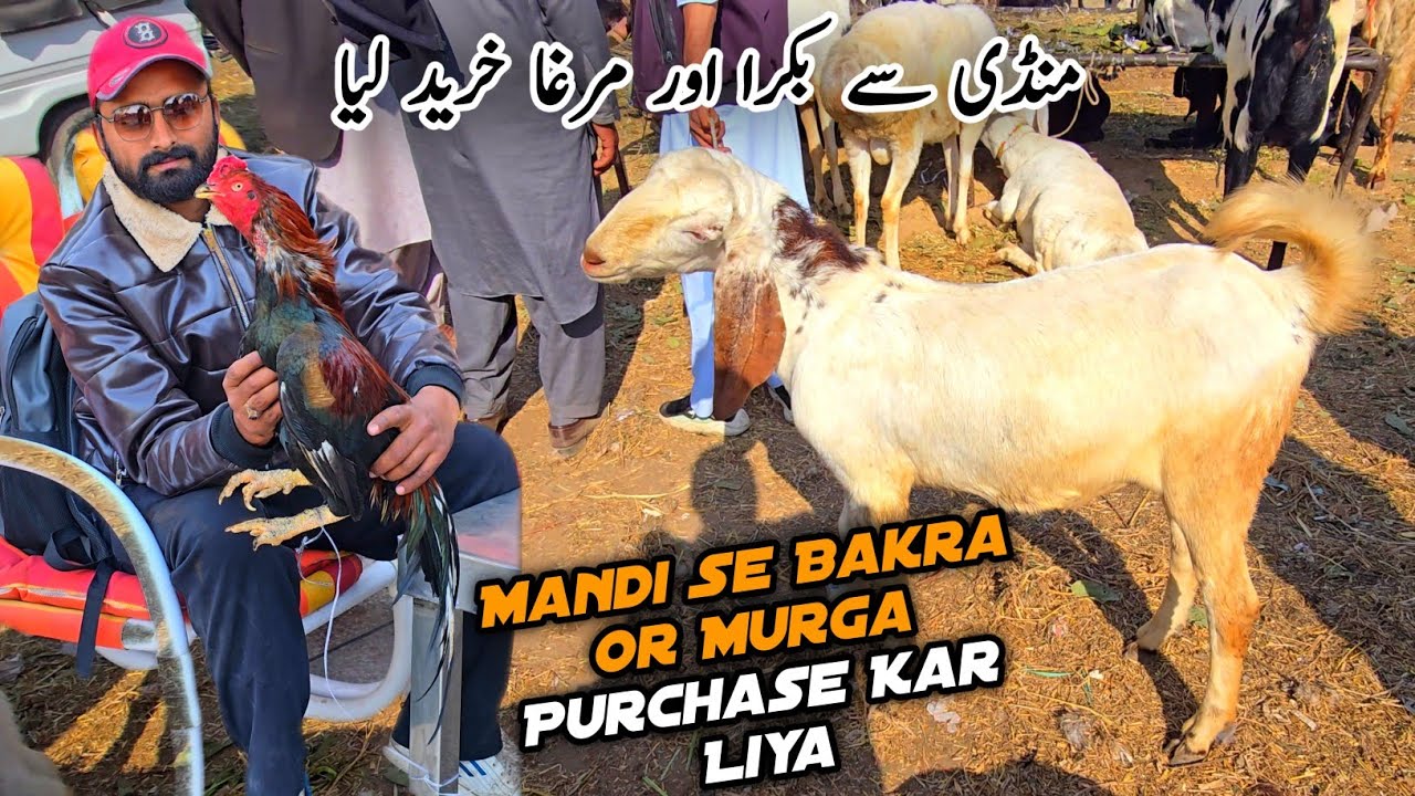 Alhamdulillah Soda Hogya New Entry MB Vlogs 