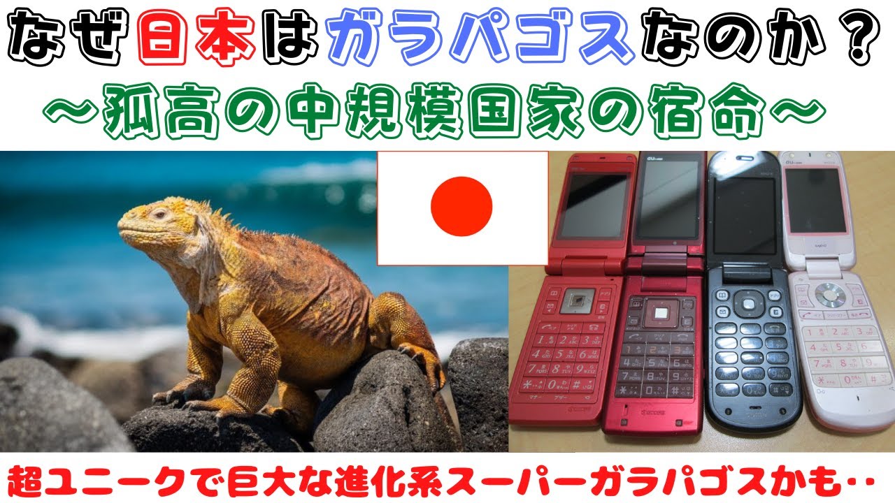 【なぜ日本はガラパゴスなのか？～孤高の中規模国家の宿命】(鈴木ソロ405回)