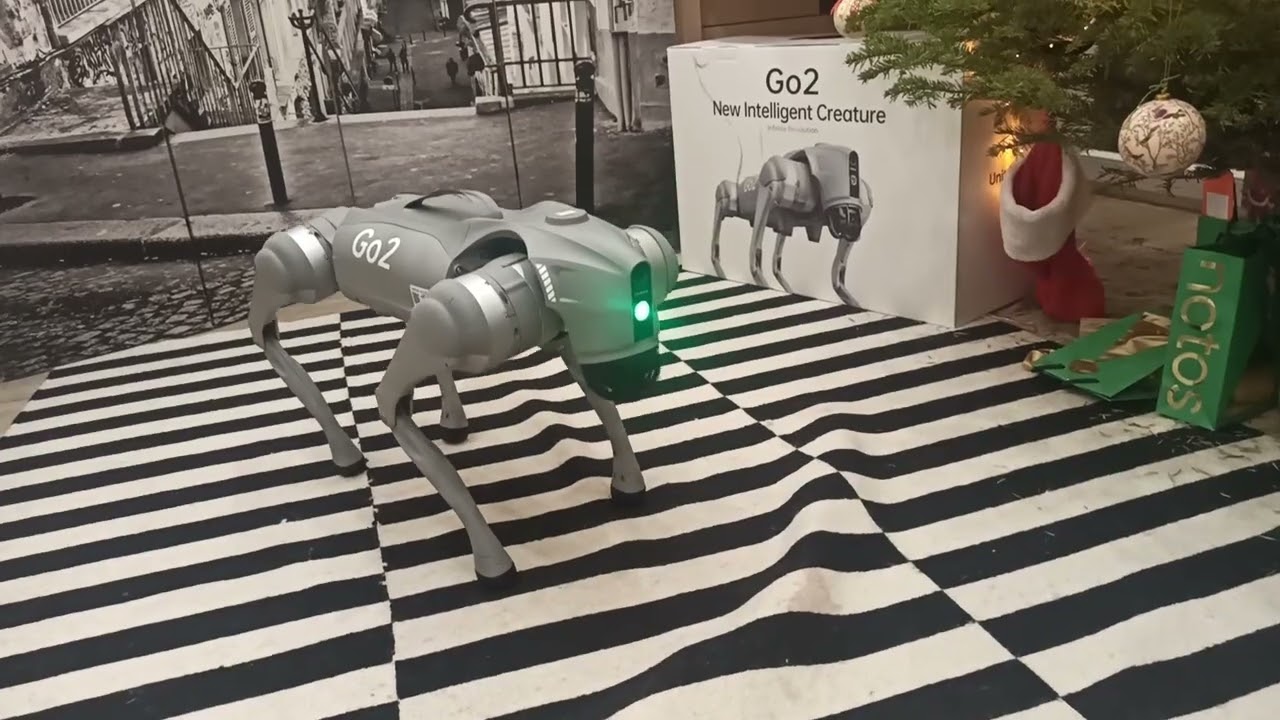 Go2 Pro Unitree Robot Dog