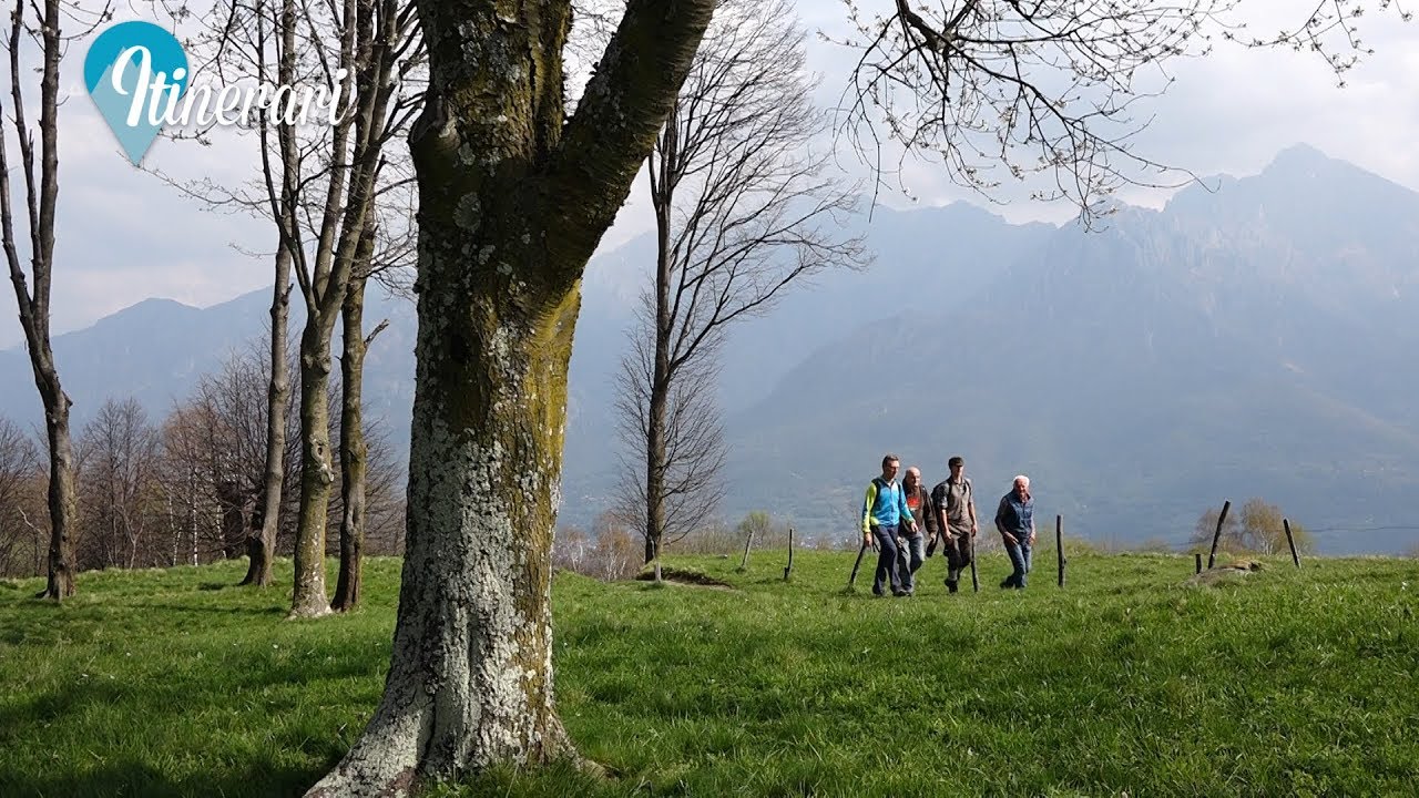 ITINERARI: GITA A PREZZAPINO E ALL'ALPE DI MONTE