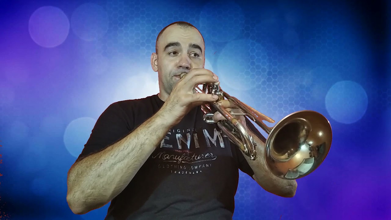 Bon Jovi _It's My Life. Trumpet Cover.