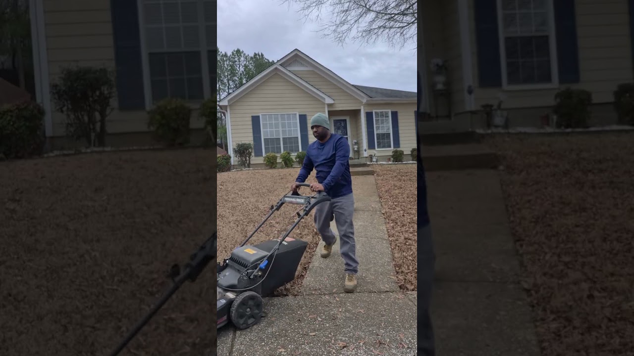 Lawn Care Leaf Clean-up #leafcleanup #conversion #hardwork 