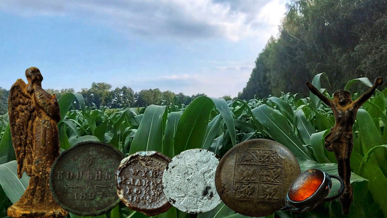 Wykopki odc 241 - Czekałem rok na to pole