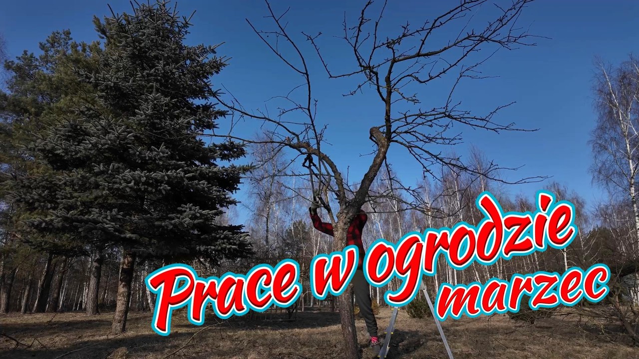 Pielegnacja ogrodu - marzec na Ranczu