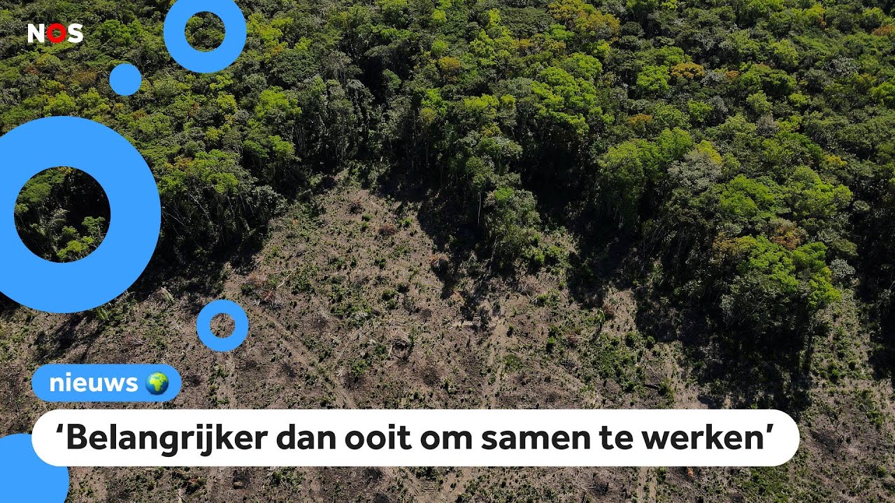 Zuid-Amerikaanse landen maken afspraken over bescherming Amazone