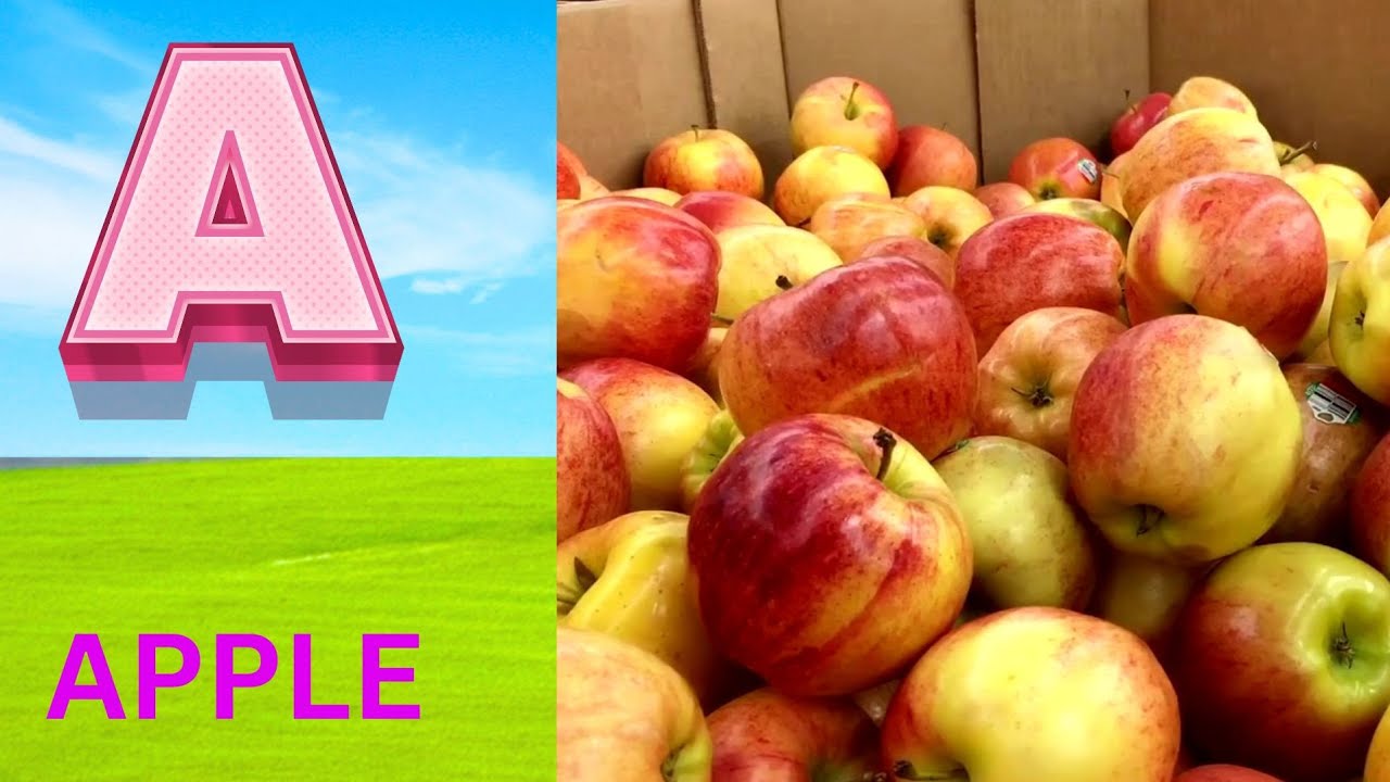 ABC Phonics Song | Alphabet letter sounds | ABC learning for toddlers | Education ABC Nursery Rhymes