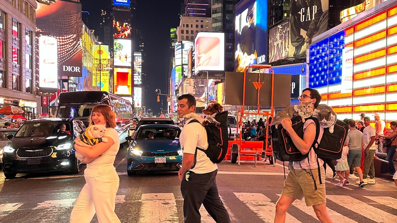 World Traveling Cats & Dog Spread Joy around NYC @LorettaBritishCat @MattyandKaido