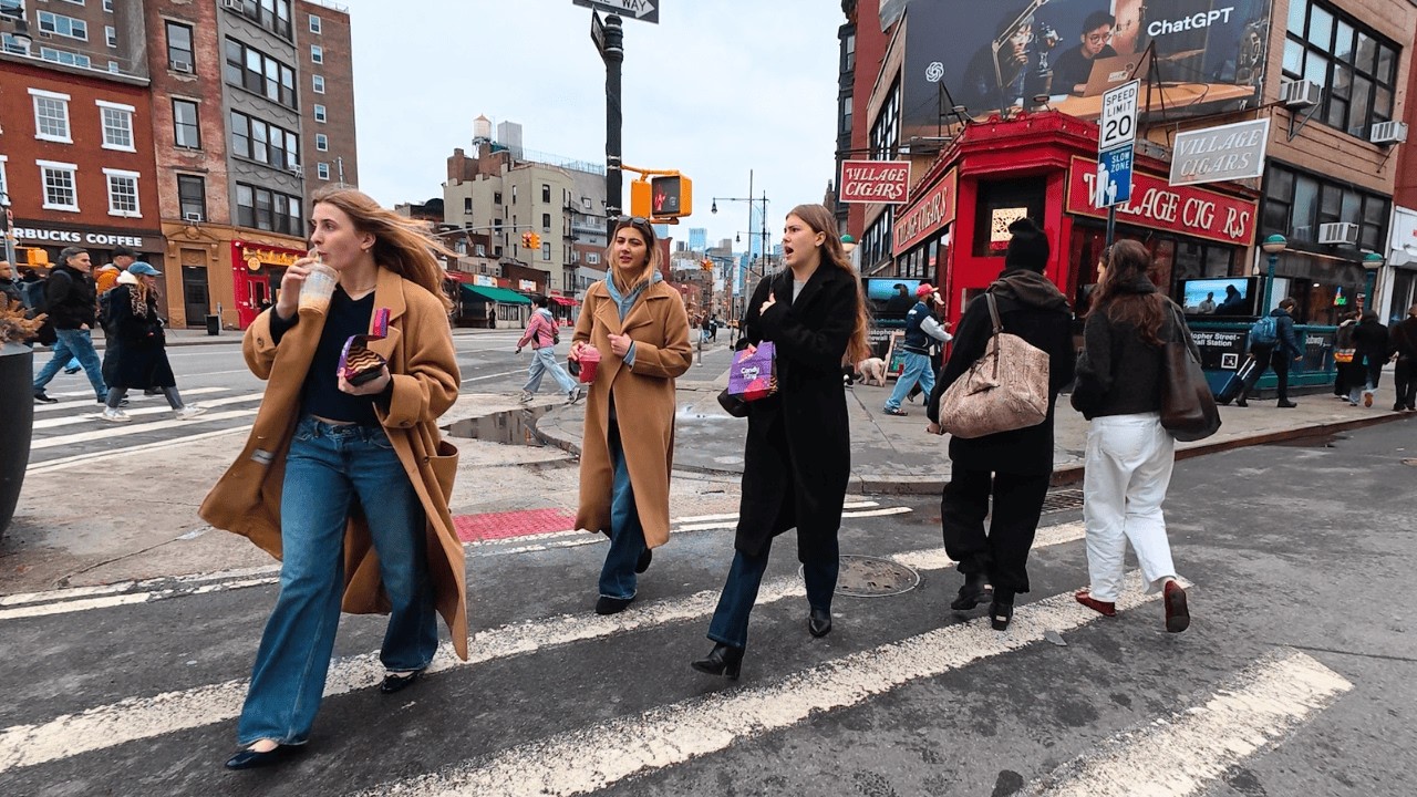 Explore Lower Manhattan! See West Village, 14th Street, and Union Square