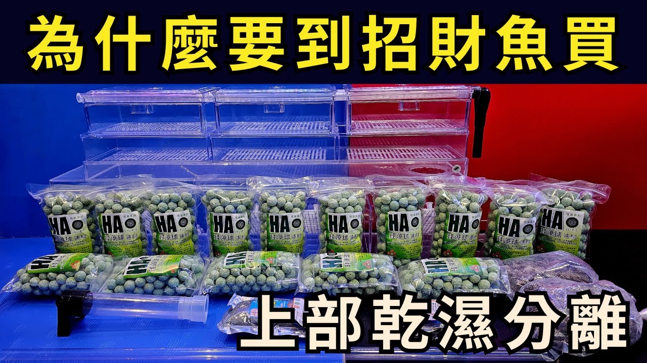 【招財魚】上部乾濕分離～為什麼要到招財魚買?  升級＋全配