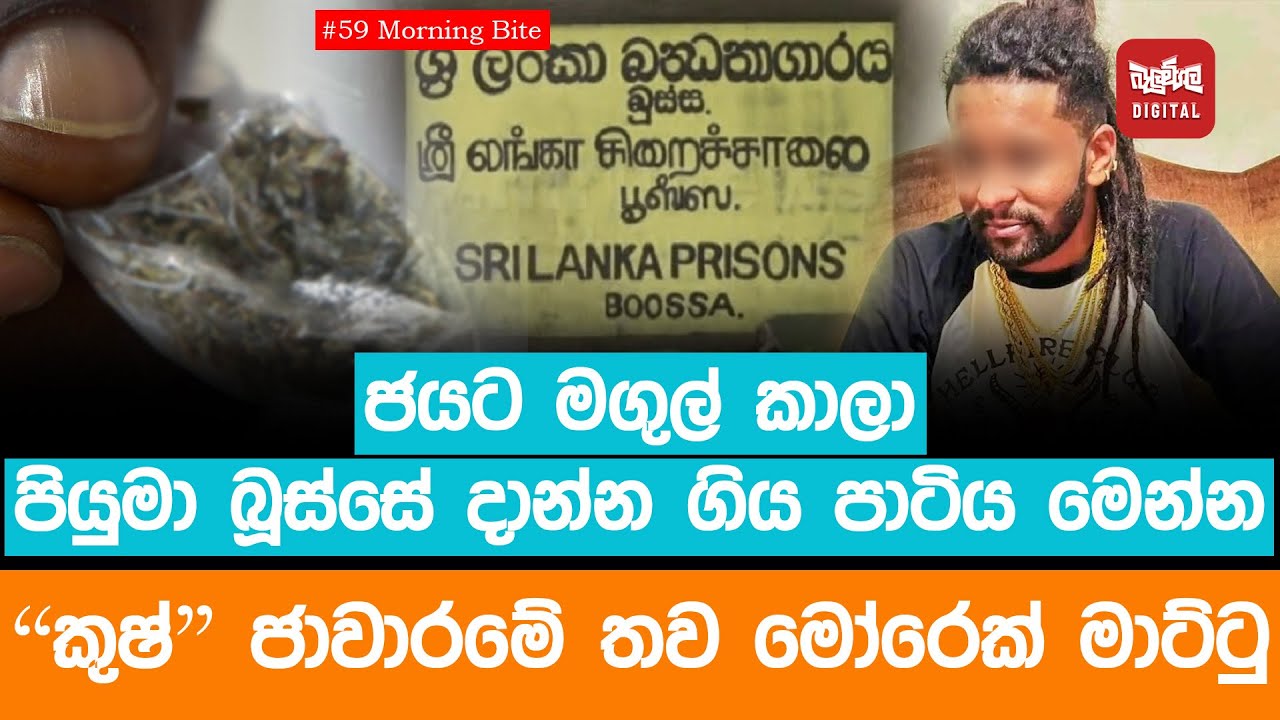 ජයට මගුල් කාලා පියුමා බූස්සේ දාන්න ගිය පාටිය මෙන්න. 