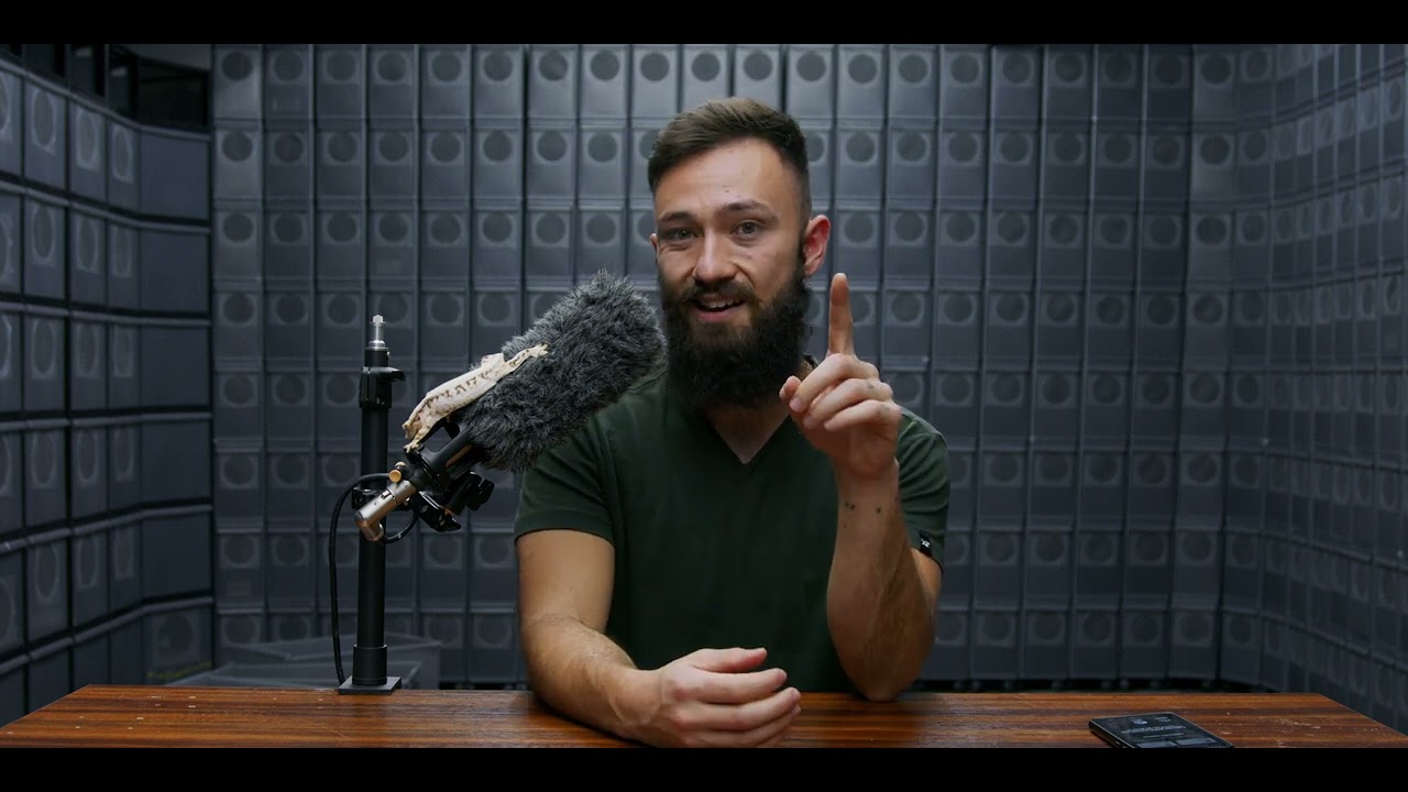 Crested Gecko Breeder Q&A: Robby's Reptile Radio