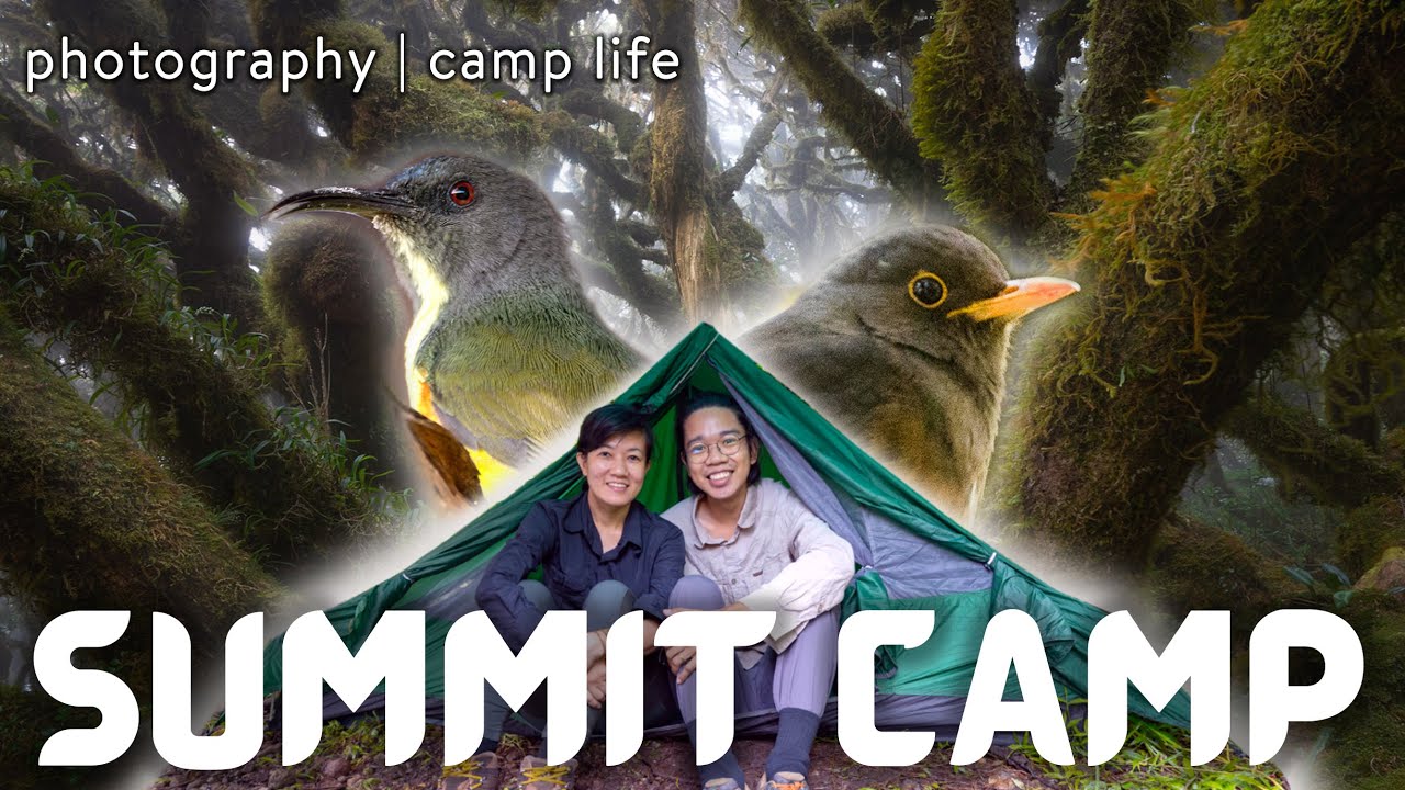 CAMPING at the 2ND HIGHEST MOUNTAIN in the PHILIPPINES | Main Quest in BUKIDNON (Part 2 of 3)