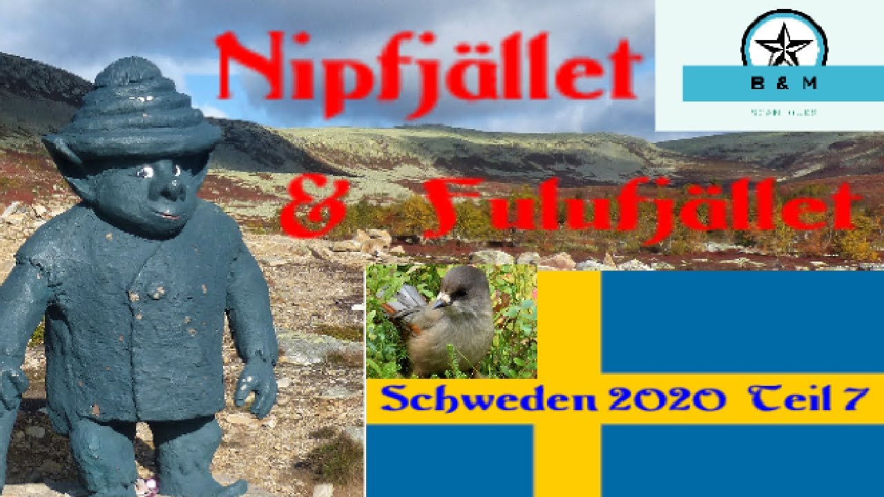 Schweden 2020 Teil 7 von Nipfjället Nationalpark zum Fulufjället Nationalpark