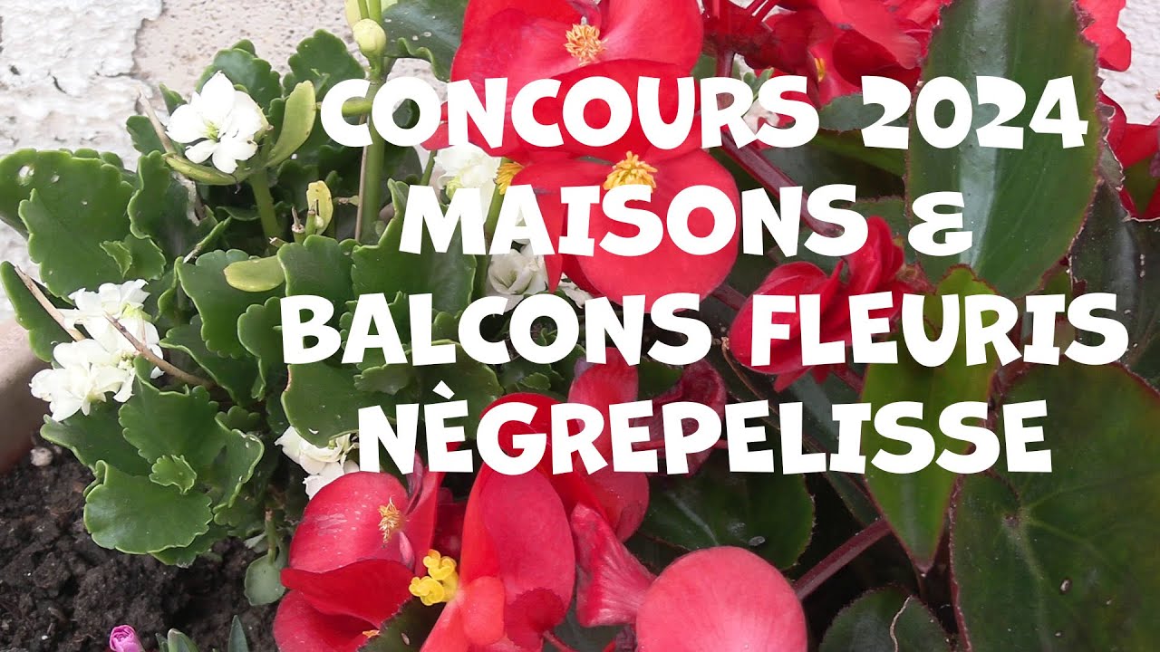 Maisons et balcons fleuris 2024