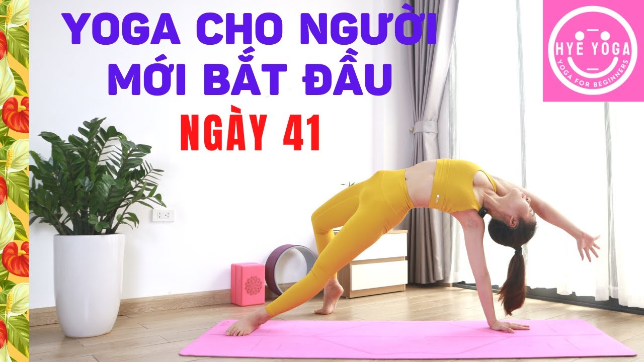 Yoga Cho Người Mới Bắt Đầu | Ngày 41
