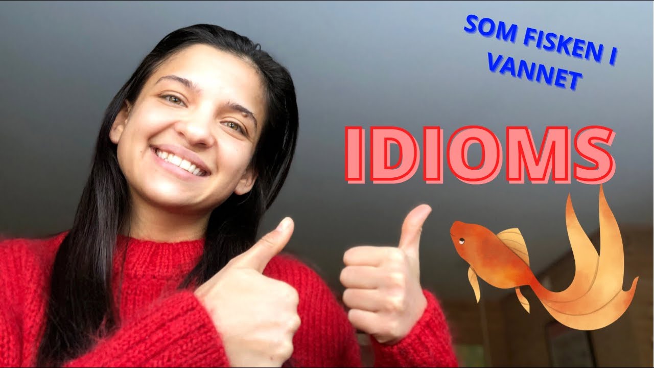 Idioms in NORWEGIAN|EXPRESSIONS|Norske UTTRYKK