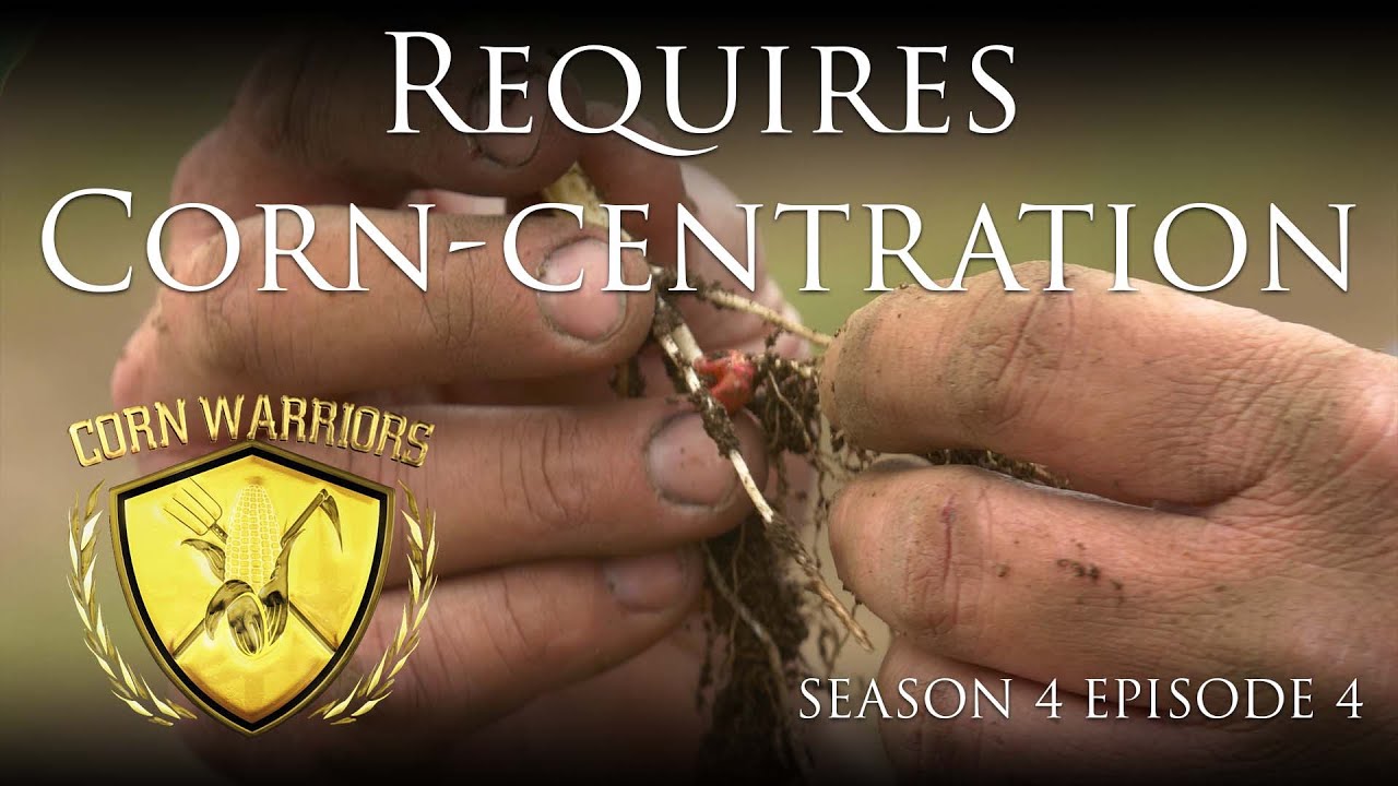 Corn Warriors - Season 4 | Episode 4 - "Requires Corn-centration"