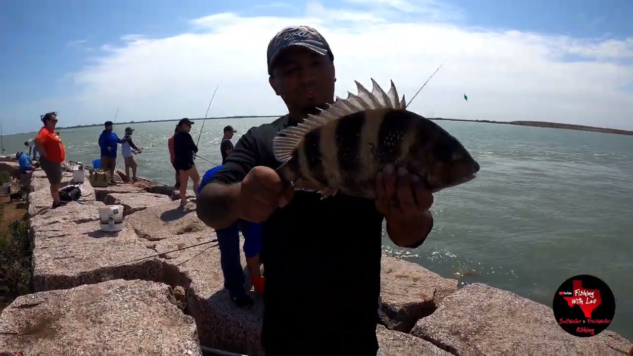 Spi jetties sheepshead bite was on 🔥🔥!  