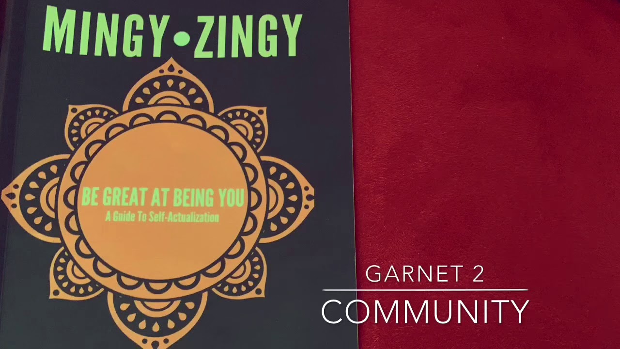 Mingy Zingy Volume 1 | Garnet 2 Community