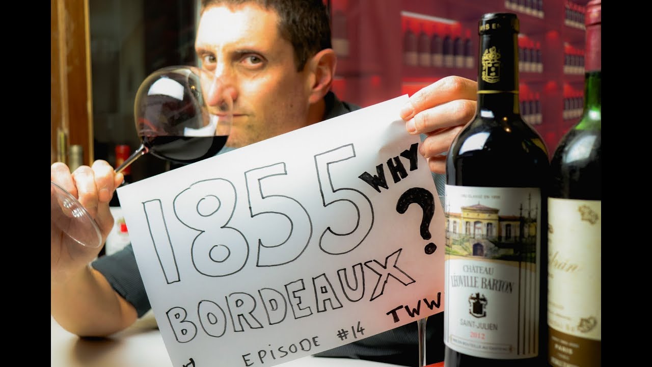 1855 Classification Bordeaux Wine 🍷 How, Why, What Now?
