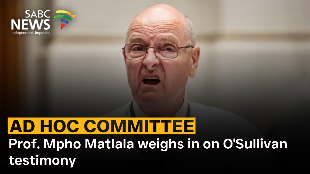 Ad Hoc Committee | Prof. Mpho Matlala weighs in on O'Sullivan testimony