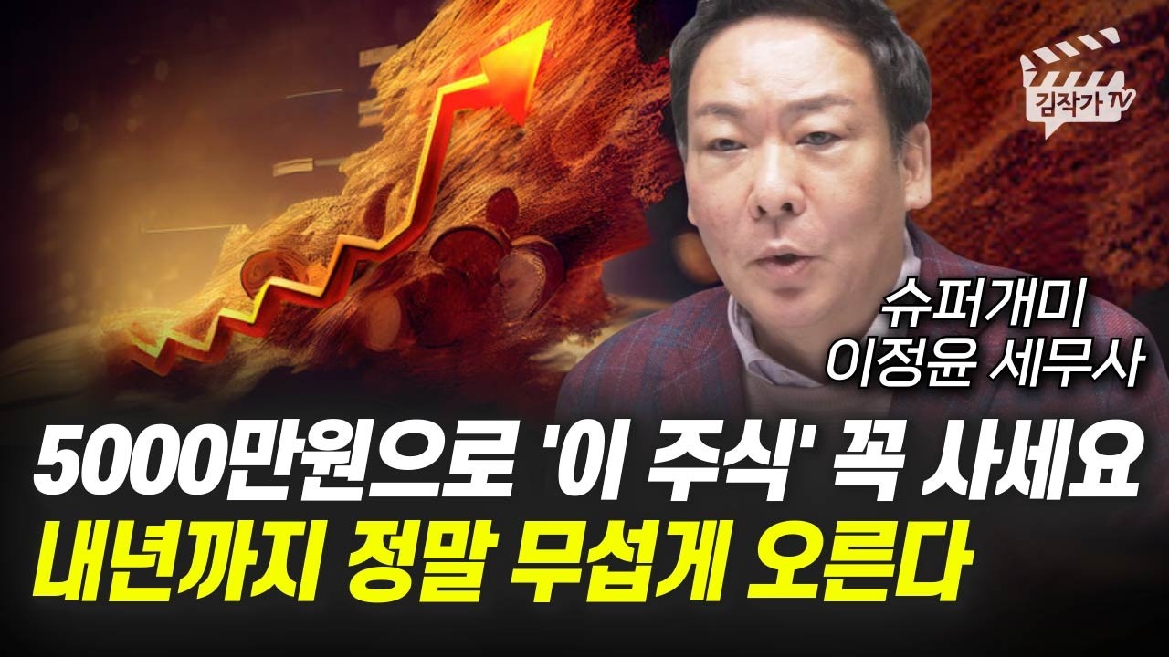 5000만원 ‘이 3개 주식’ 사세요, 2026년 정말 무섭게 오른다 (슈퍼개미 이정윤 세무사)