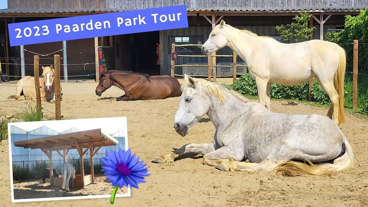 Ontdek ons Paarden-Park: 2023 Update! 🐴🌳🌼 | 𝘚𝘯𝘶𝘪𝘵𝘢𝘣𝘭𝘦