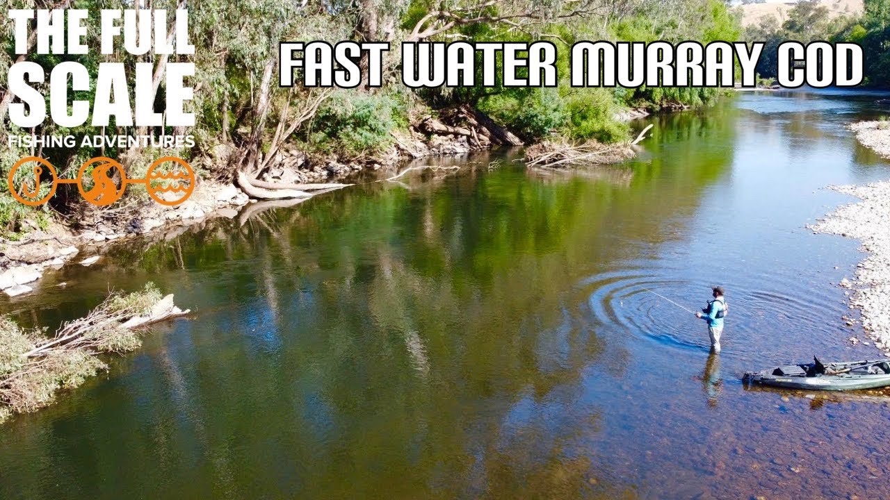 Fast water Kayak Murray Cod | The Full Scale