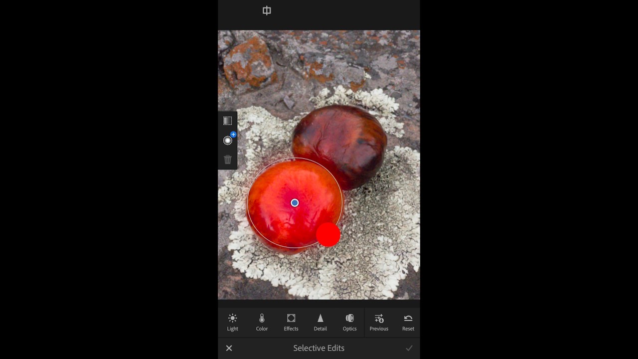 Editing in Lightroom Mobile: Making Selective Adjustments | Adobe Lightroom