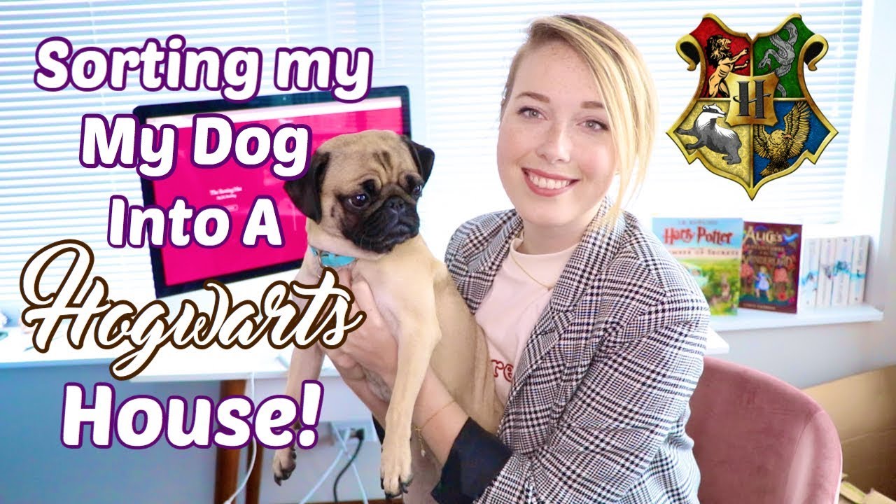 SORTING MY DOG INTO A HOGWARTS HOUSE!