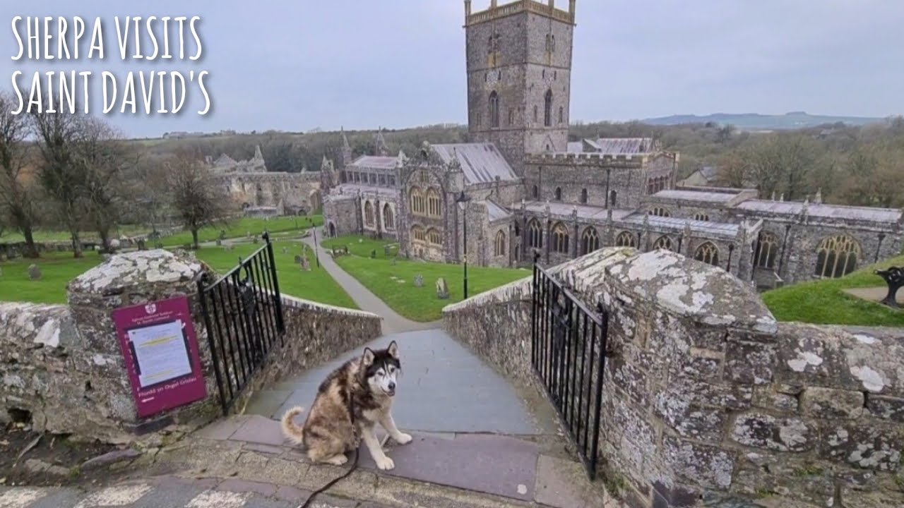 Sherpa visits the Smallest City in the UK, St Davids in Wales
