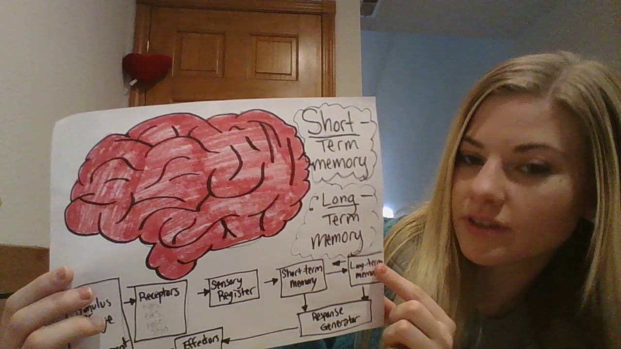 Information Processing Theory