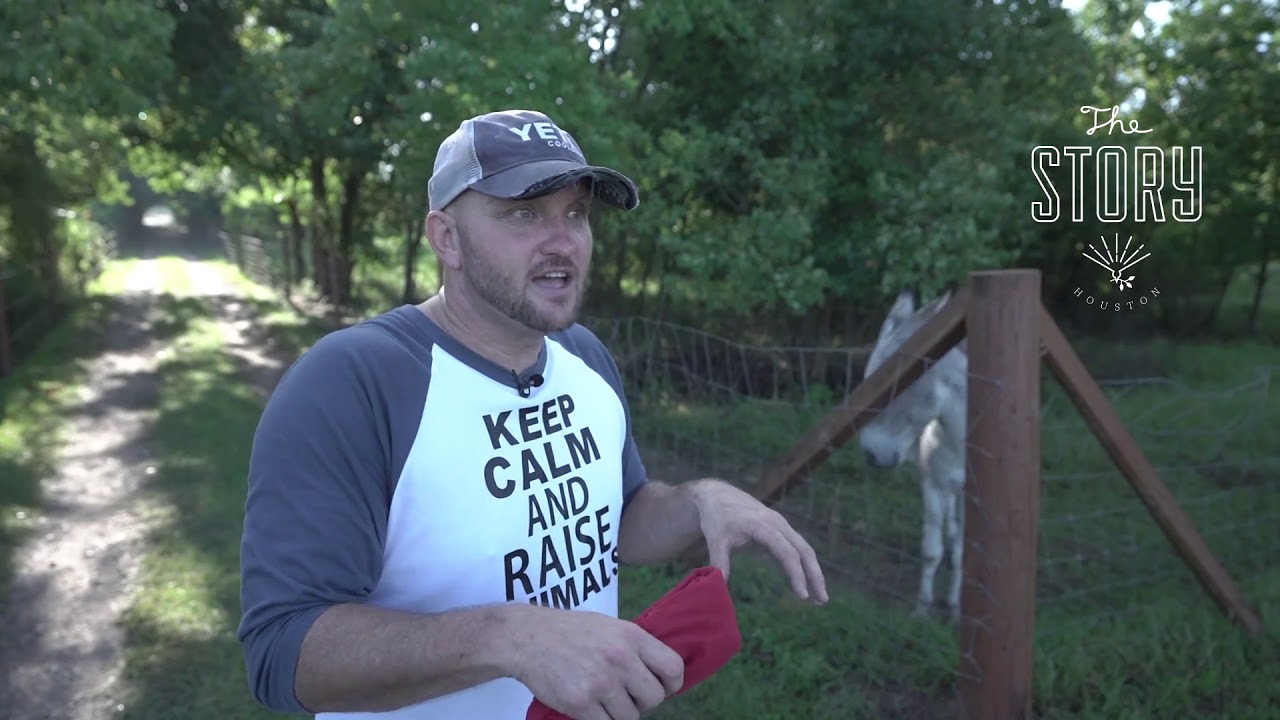Viral Video Farmer and His Animals One Year After Harvey