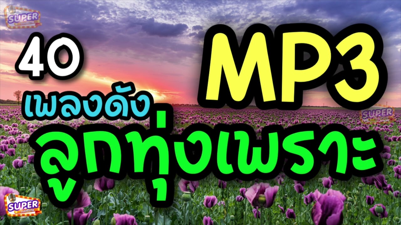 รวม MP3 เพลงดัง ลูกทุ่งเพราะ