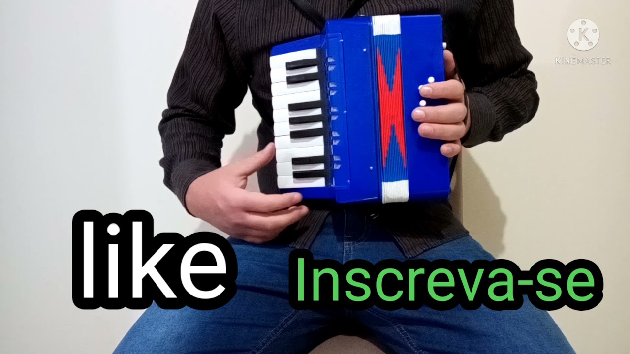 As coisas do meu rincão acordeon 8 baixos vídeo aula