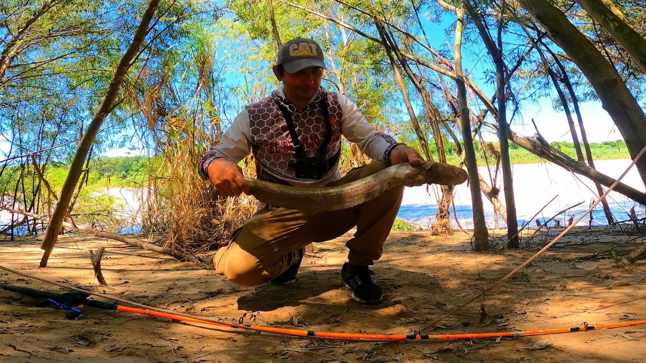 ¿MITO O REALIDAD? cuando PICA este PEZ, no PICA ningún otro en el RIO BERMEJO