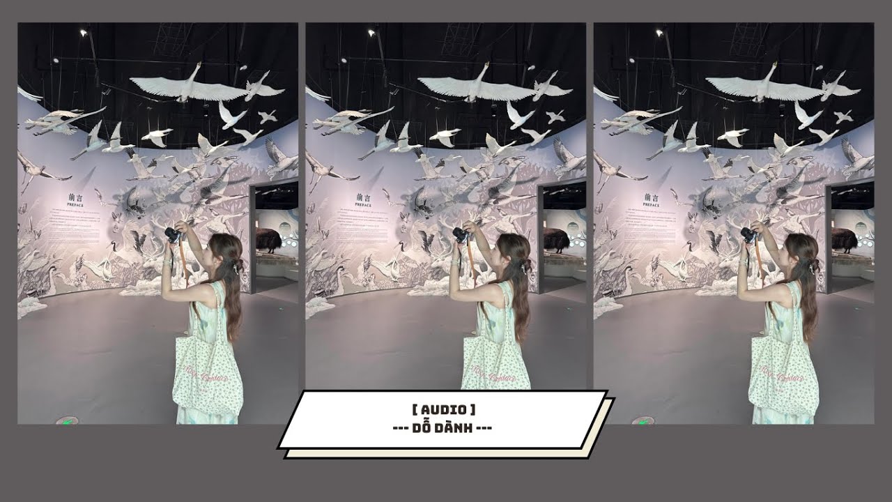 [ REVIEW ] : || DỖ DÀNH || RIN~