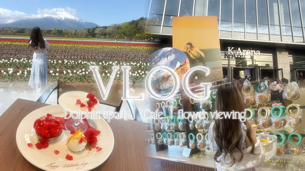 𓊆 ‎𝑉𝑙𝑜𝑔 𓊇 春の休日 Dolphin apart🐬 ┊︎Cafe