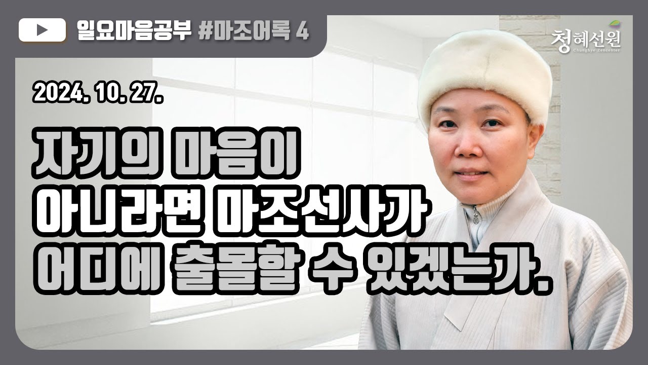 2024.10.27. [청혜선원] 일요공부ㅣ마조어록 제4회 “자기의 마음이 아니라면 마조선사가 어디에 출몰할 수 있겠는가.
