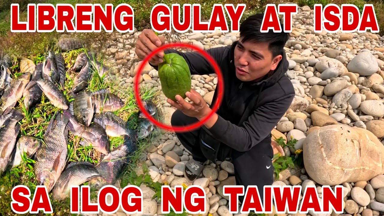 Jackpot! Libo Libong Isda At Gulay Namutaktak Sa Ilog Ng Taiwan!