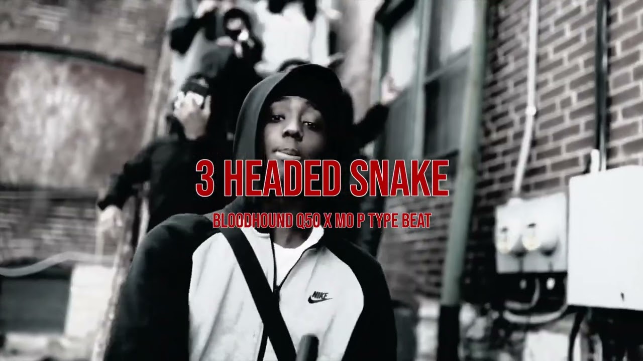 [FREE FOR PROFIT] Bloodhound Q50 x Mo P Type Beat 2025 “3 Headed Snake”