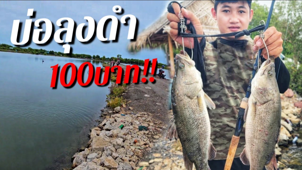 บ่อลุงดำค่าคัน100เดียวก็เสียวได้ ตกกระพงตกปลาเล็กเล่นชิลล์ๆ พอได้สนุกคับบ😁😁
