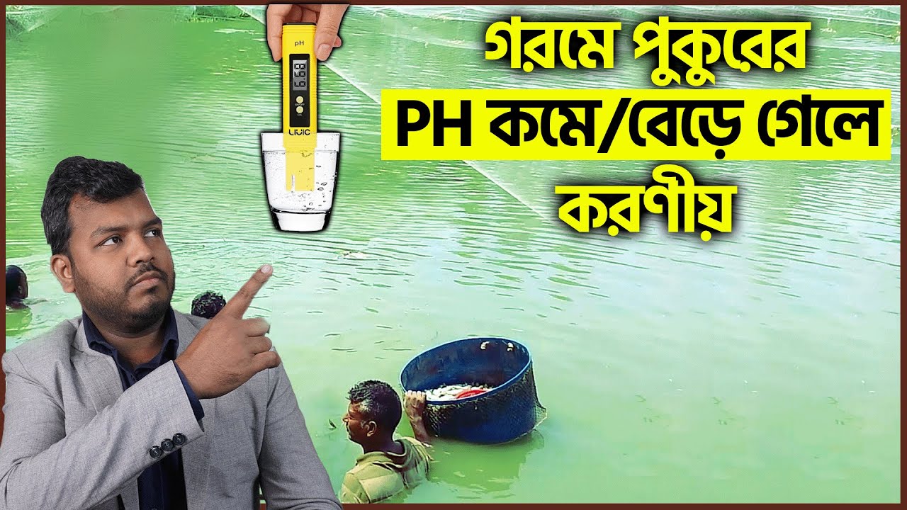 পুকুরের PH কমে/বেড়ে গেলে করণীয় || মাছ চাষে PH এর ভুমিকা || #shakibagro