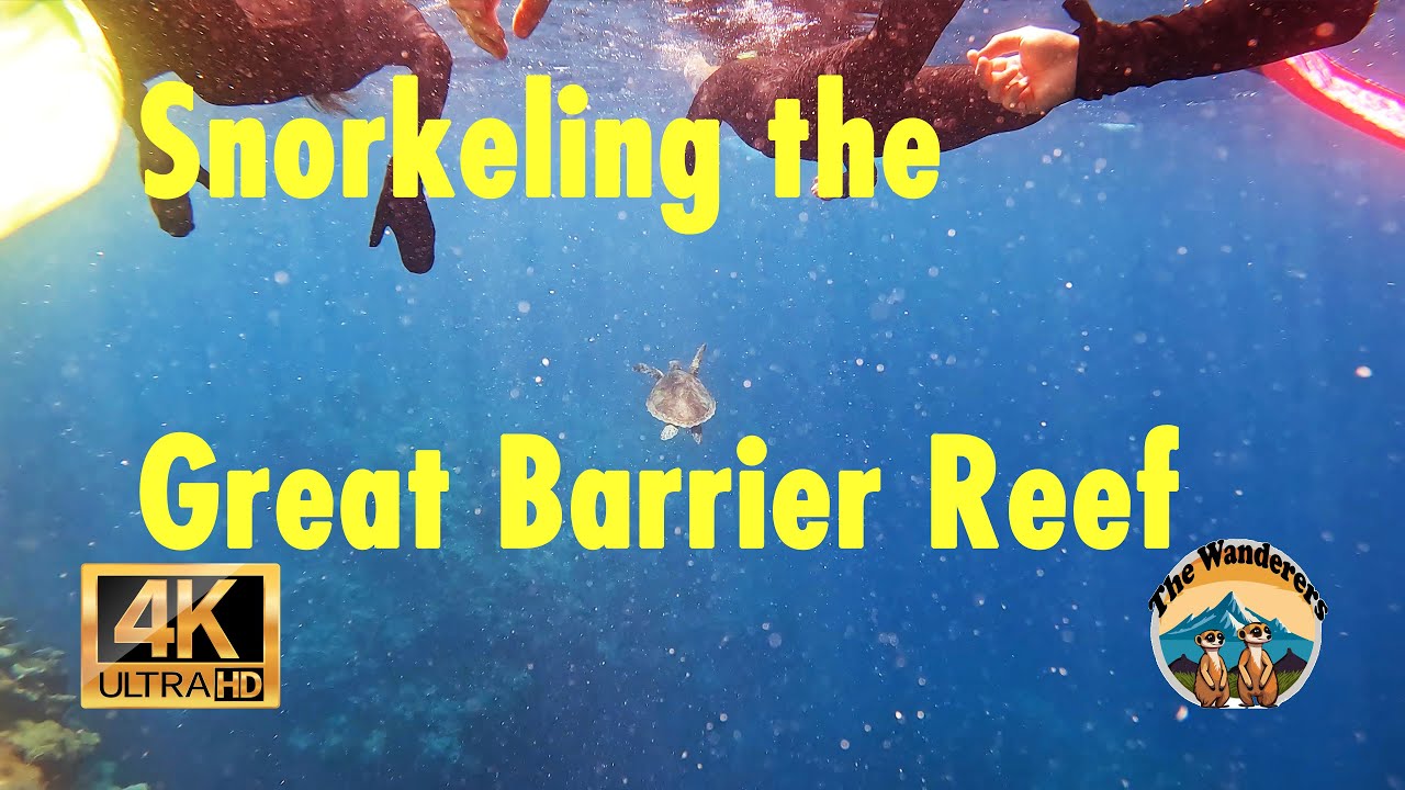 Exploring the Great Barrier Reef – Snorkeling in Paradise!