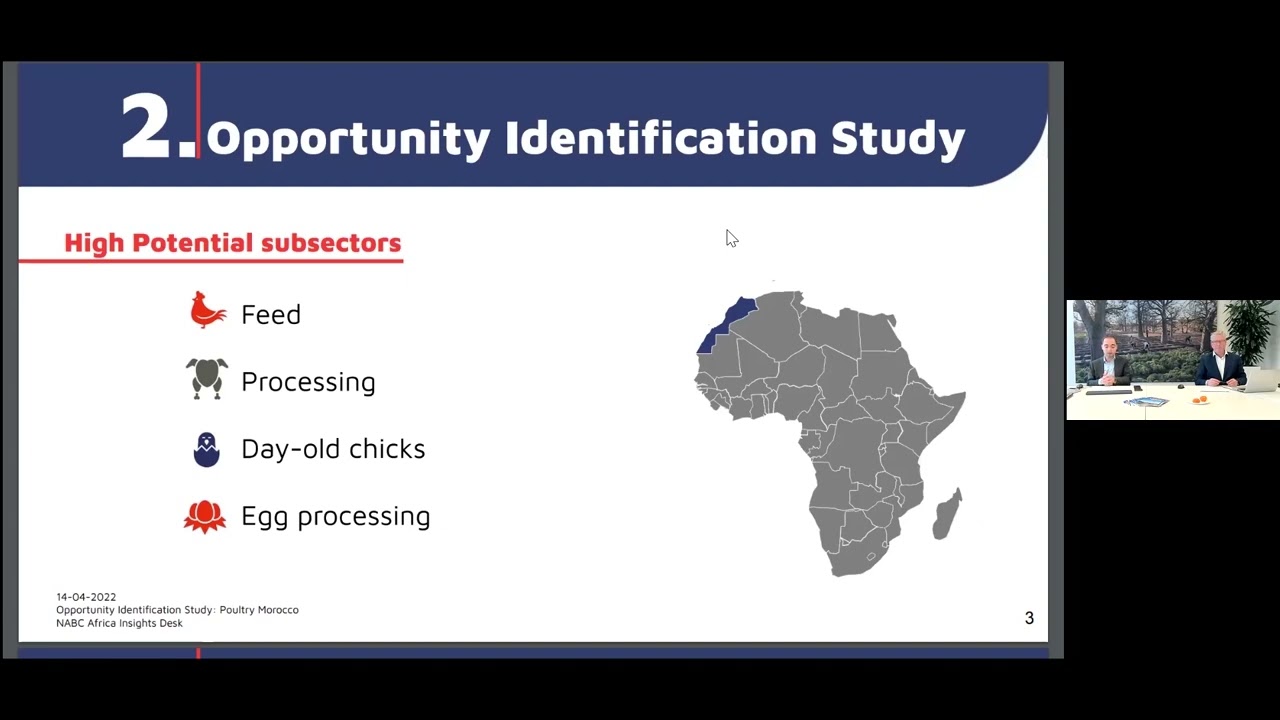 Webinar: Business Opportunities in the Moroccan Poultry Sector