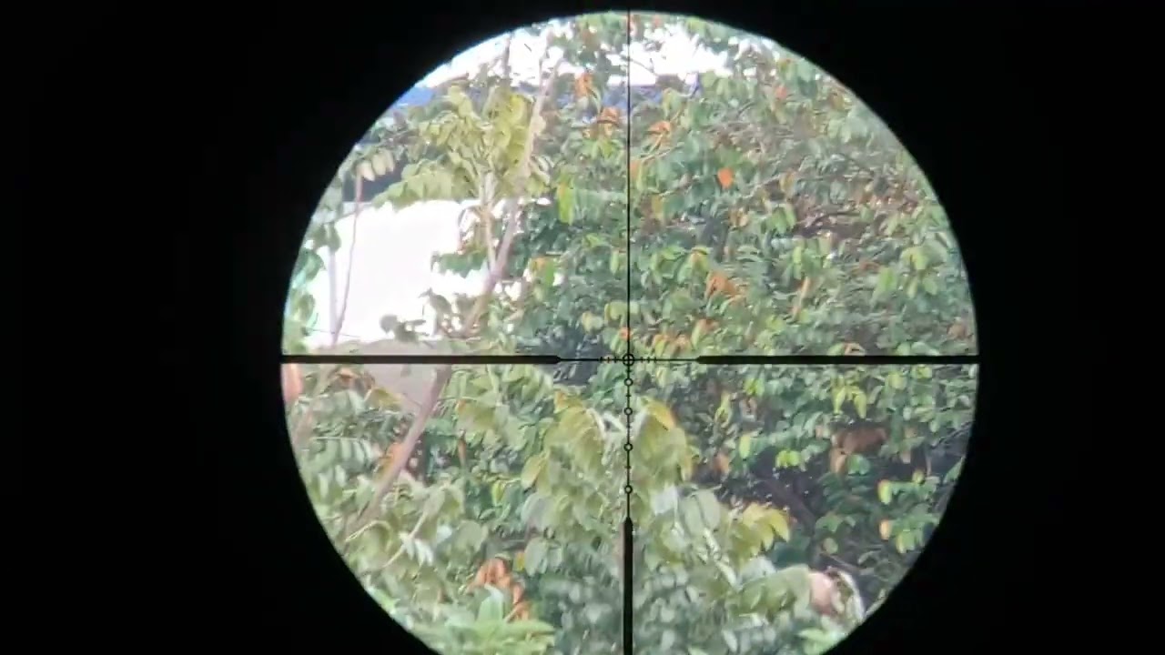 Nikon BDC 600