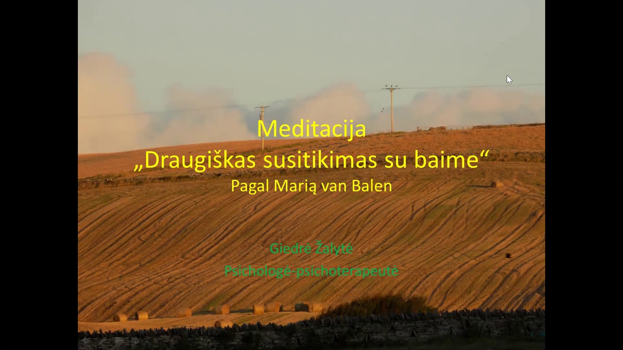 Giedrė Žalytė. Draugiškas pokalbis su baime.