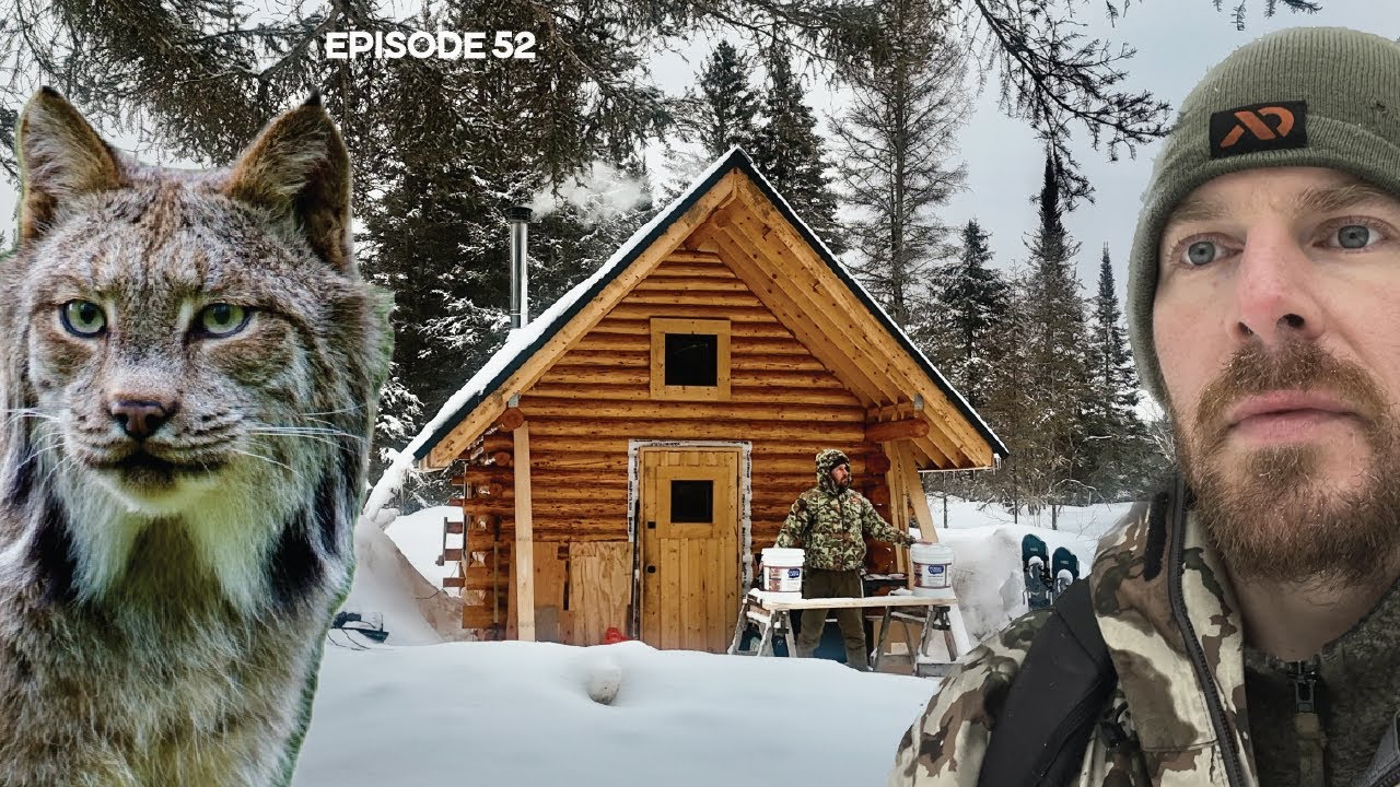 LYNX, Interior Work, Chinking |EP52| Log Cabin Build on Off-Grid Homestead